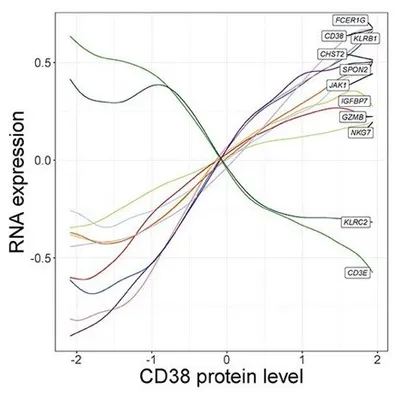 Weighted nearest neighbor analysis of CITE-seq data identifies heterogeneity within lymphoid pop image