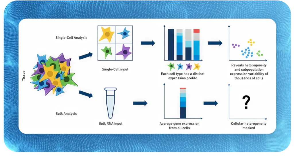 Diagram contrasting single-cell and bulk gene expression analysis. Single-cell analysis examines individual cells, revealing cell-specific expression and heterogeneity. Bulk analysis averages expression from all cells, masking heterogeneity.