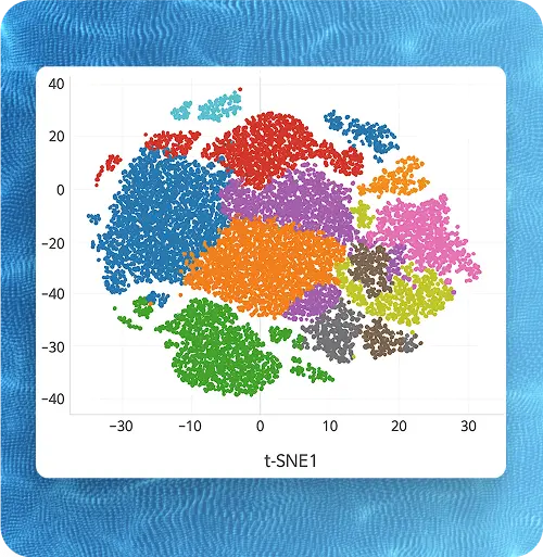 t-SNE1 Diagram