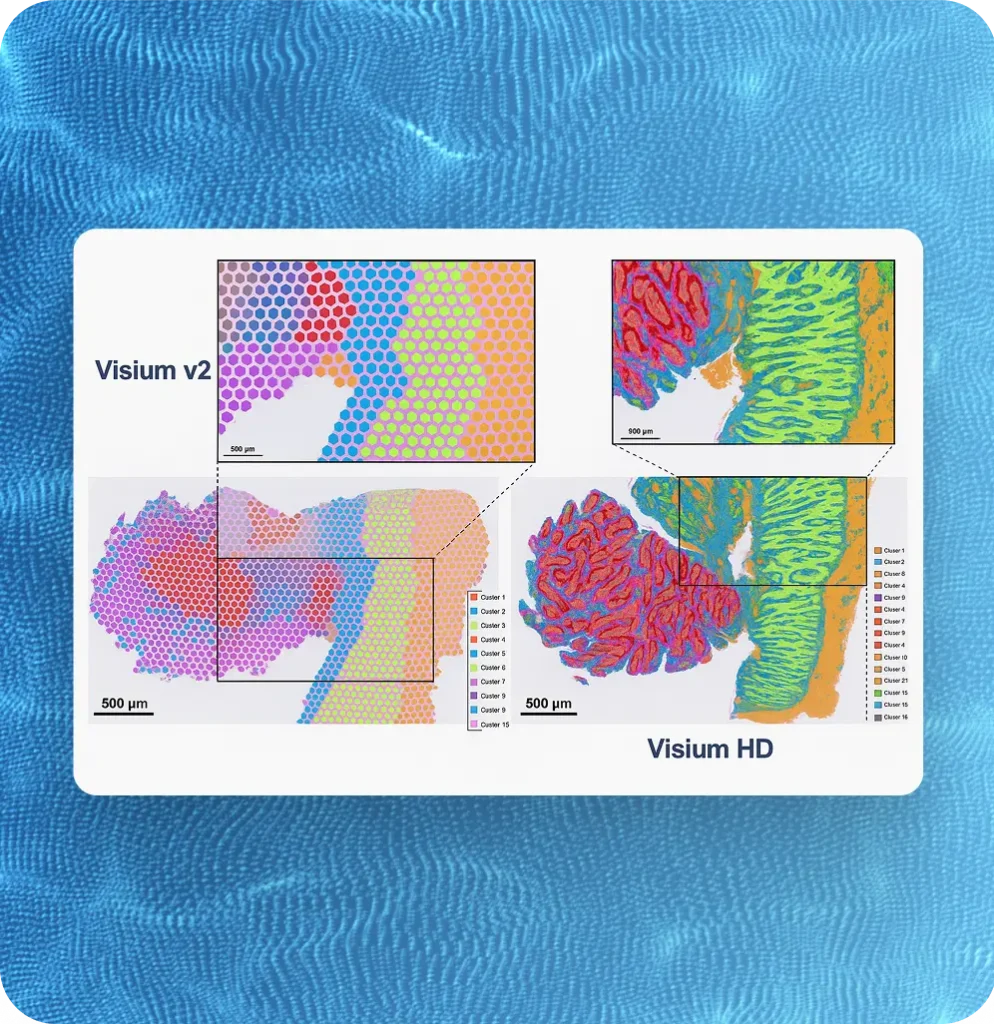 Visium Diagram